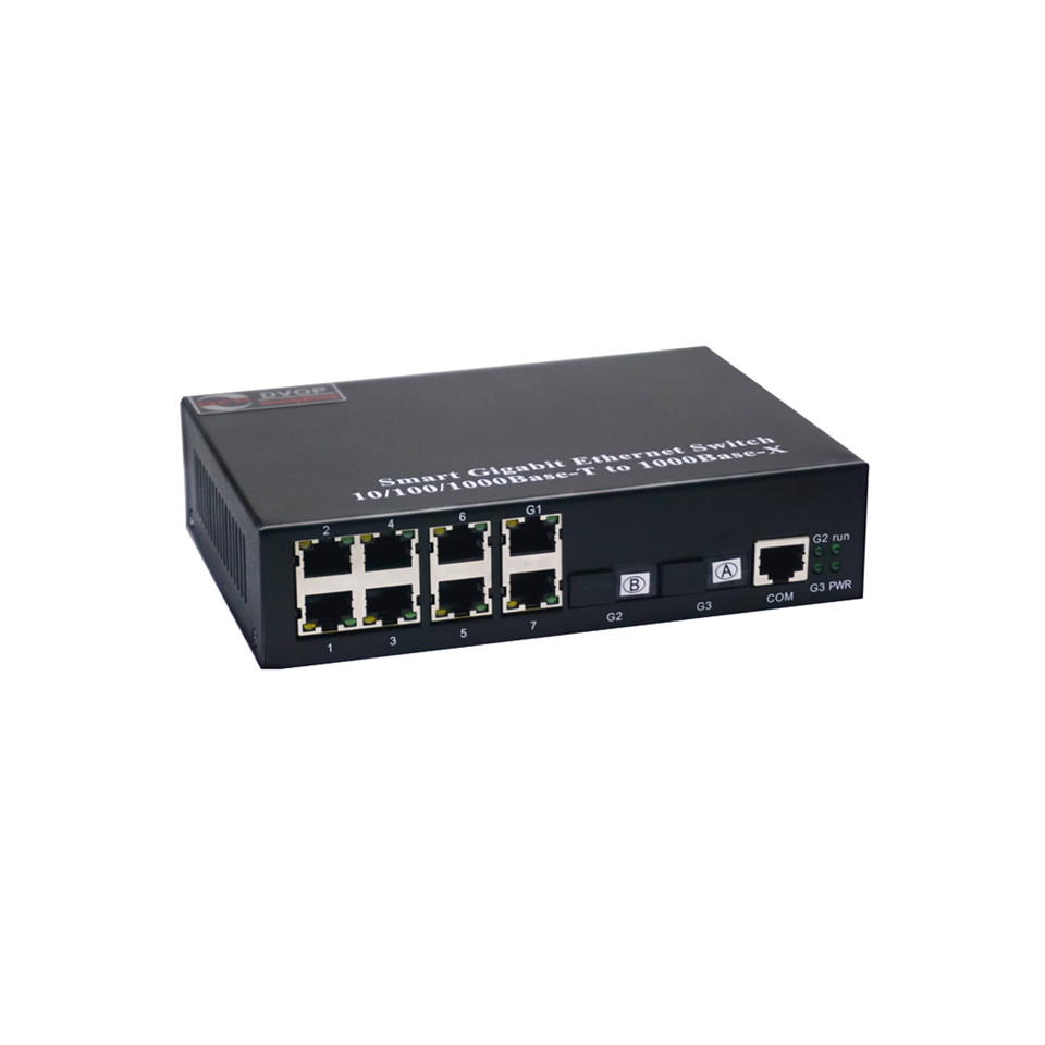 DVOP-IN-IR-EG8-OG2 Gigabit 2 optical 8 self-healing management Fibre Channel switch
